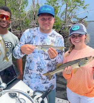 Fort Myers Snook Bountiful Catch
