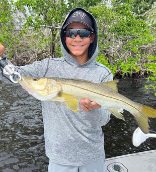 Fort Myers Snook Action