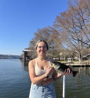 Water time in Austin