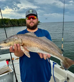 Austin dropped the hammer on his personal best redfish!!
