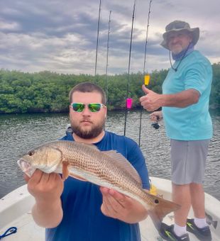 Reeling in trophy fish at Crystal River