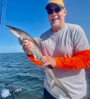 Catching shark in Crystal River waters