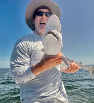 Crystal River shark on the line today