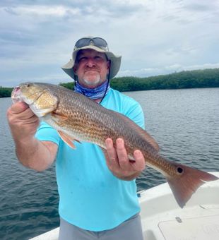 Crystal River flats: perfect fishing spots