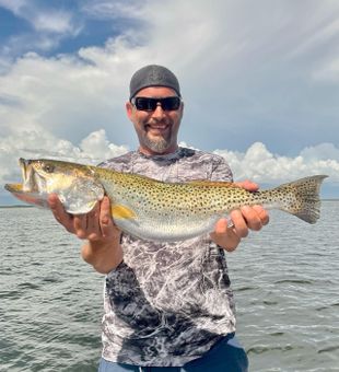 Spotted sea trout from Florida waters