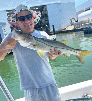 Charlotte Harbor: Cast, Catch, Repeat