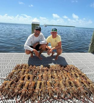 Outstanding lobster haul in Islamorada FL waters!