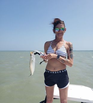 Lower Laguna Madre, TX, is prime territory for redfish, trout, and snook.