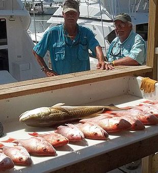 Inshore catch of the day