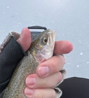 Ice fishing season is arriving in CO. Lots of fun!