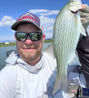 Striped bass adventure with BPO Fishing.