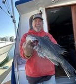 It's the Black Sea Bass that made my day!