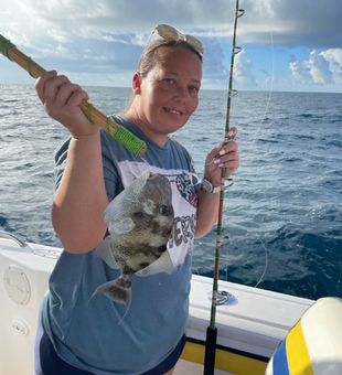 Sheepshead in Fort Walton Beach, FL