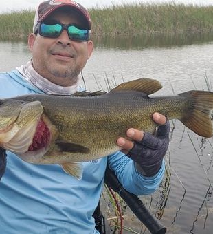 Big Bass Caught in Fort Lauderdale