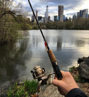 NYC energy, park tranquility.