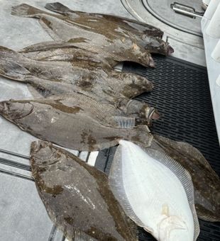 Cast, relax, and enjoy the city sights.