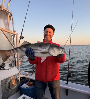 Beautiful striped bass from New York City waters!