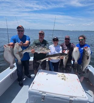 Outstanding striped bass action in New York City waters!