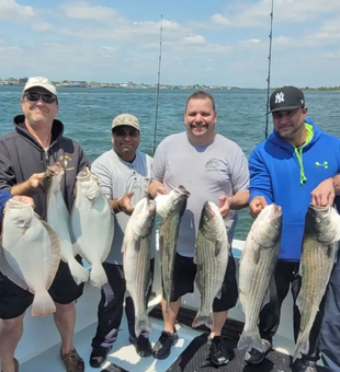 Striped bass and fluke showdown!