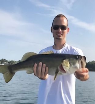 Largemouth Bass In Lake Hartwell