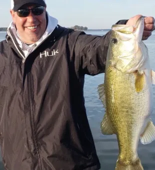 Majestic Largemouth Bass