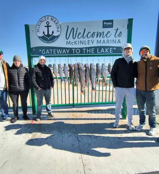 Coho salmon on the line