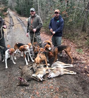 Explore Maine’s Wild Hunting Spots