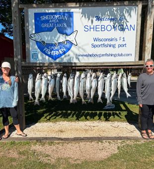 Outstanding Coho and Chinook salmon haul in Sheboygan!