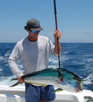 Fish on! Offshore action at its finest — reeling in a stunning mahi-mahi under clear blue skies. This is what saltwater dreams are made of!
