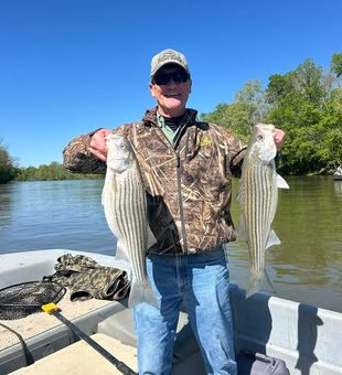 Catching striped bass on the Roanoke