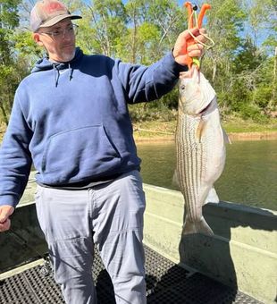 Weldon continues to be a favorite destination for serious anglers.