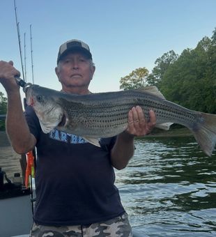 Nice striped bass from Weldon NC waters!