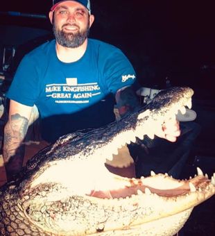 Trophy gator from North Florida waters