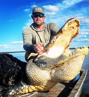 Guided gator hunt success with Robby Farlow