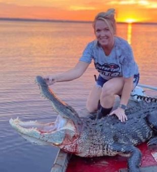 Florida alligator hunting at its finest