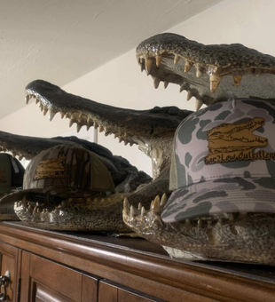 Guided Hunts Near Tallahassee FL