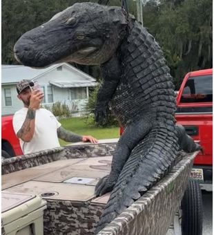 Heart-pounding action on the water during a Crescent City, FL gator hunt, where Florida’s wild lakes deliver incredible alligator hunting opportunities