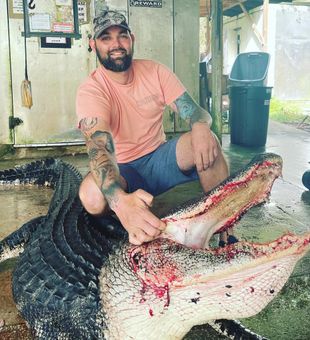 Massive alligator catch — unforgettable trophy hunt!