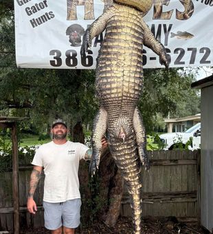 Skilled guides leading the way through tough terrain.