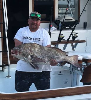 Black Drum caught in Cape Charles fishing