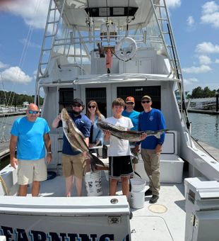 Group Cobia catch on charter boat