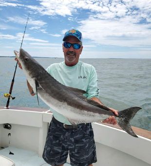 Impressive Cobia!