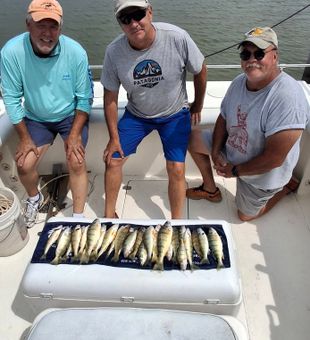 Quality Port Clinton Lake Erie yellow perch spread