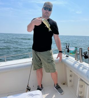 Feisty Lake Erie yellow perch in Port Clinton