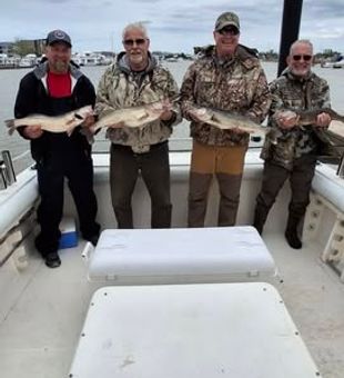 Set out from Port Clinton, OH for an exciting day targeting walleye across Lake Erie’s productive waters