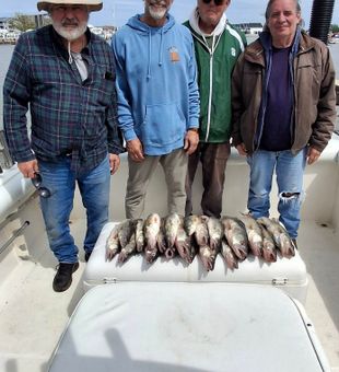 Cruise Lake Erie out of Port Clinton for a full day of walleye fishing and wide-open lake views