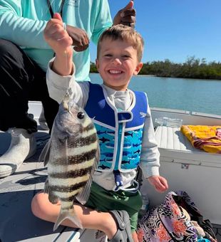 Bonita Springs sheepshead bringing smiles to the boat!