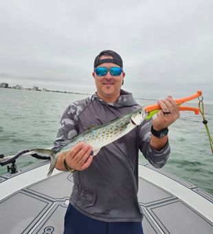 Lines in the water in Bonita Springs.