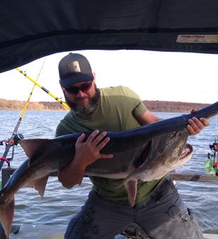 Massive Paddlefish action on Fort Gibson Lake!