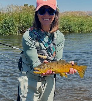Brilliant Brown Trout catch.